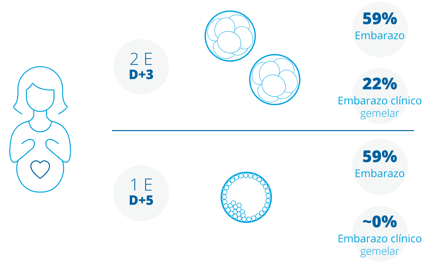 Cultura e transferência em blastocisto Cultivo y transferencia a blastocisto tasas de éxito